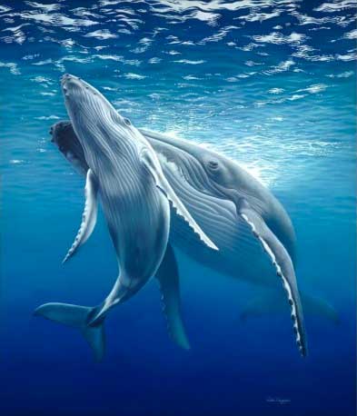 humpback wildlife art