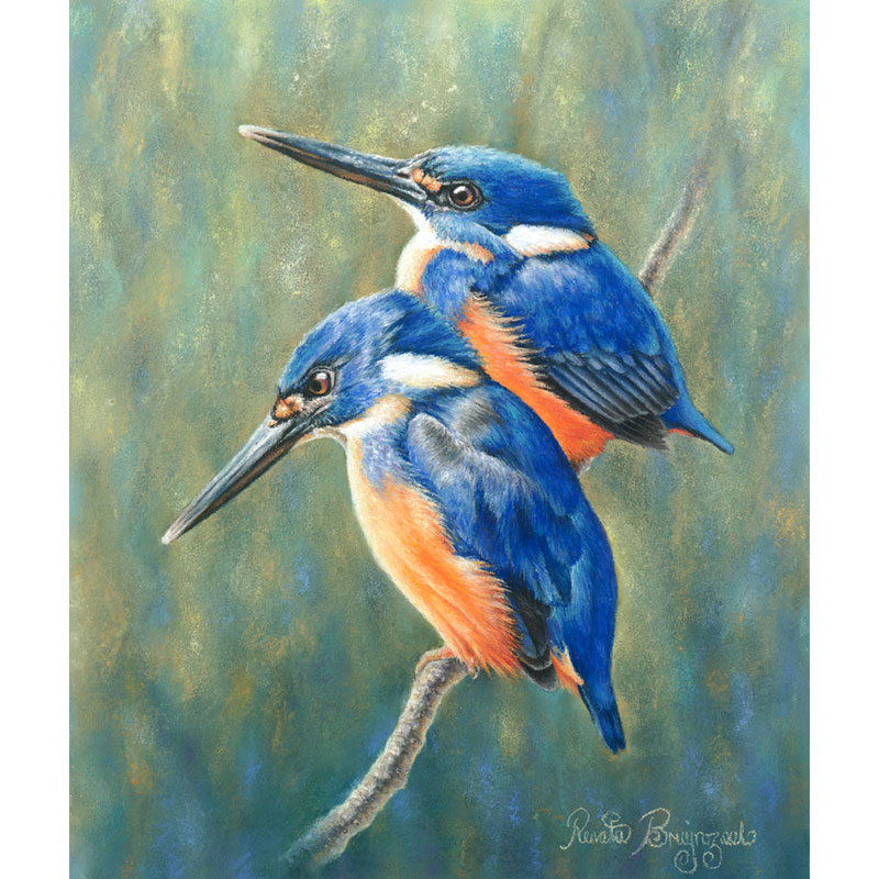 Kingfishers-print-size